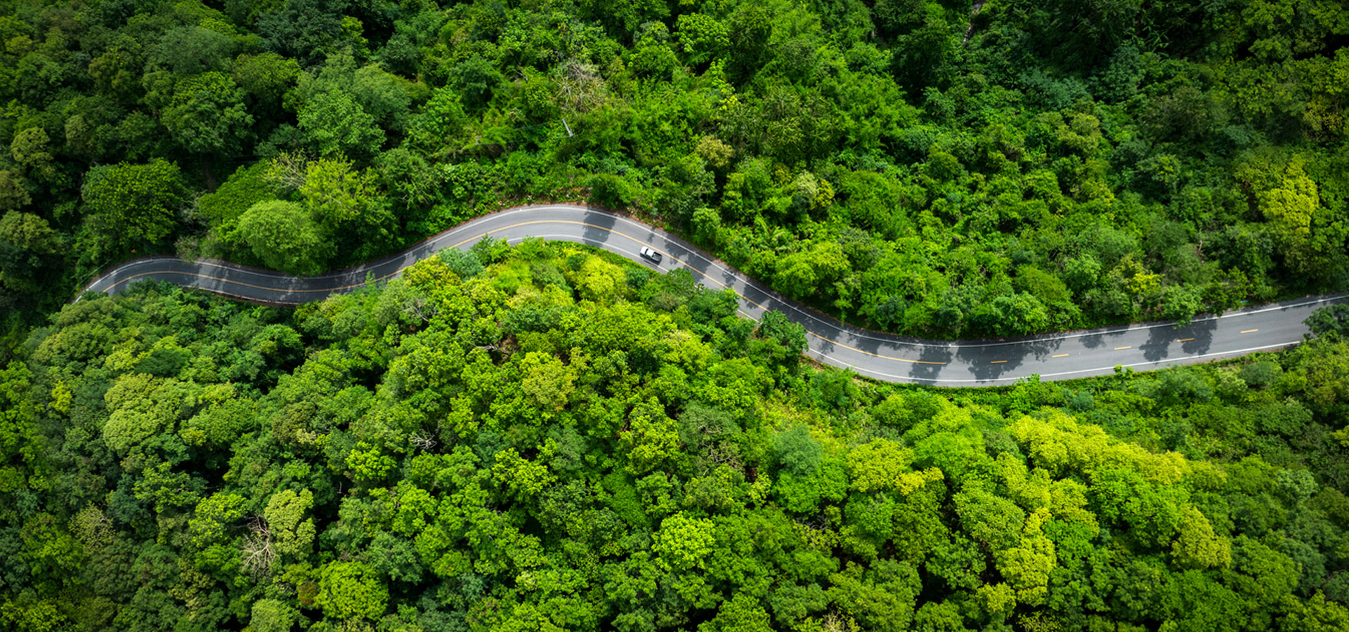 BGO Sustainability